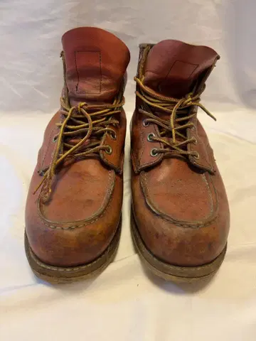 레드윙 RED WING [ 8131 ]