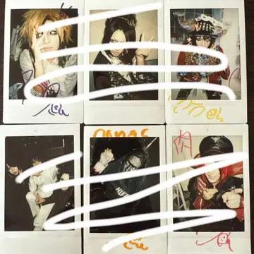 소풍 부우 폴라로이드