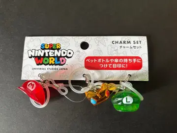 슈퍼 닌텐도 월드 참 세트