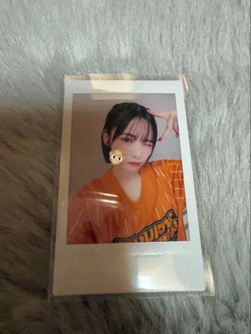 진세이 스즈카 폴라로이드