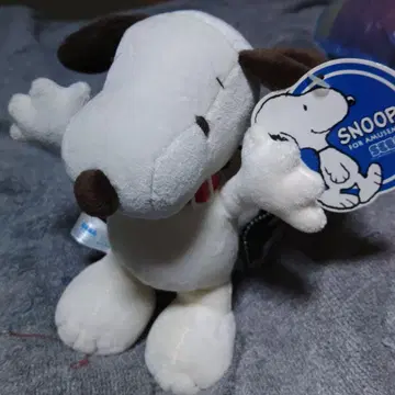 스누피 봉제 인형 빨간색 목걸이 포함