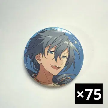 시이나 니키 캔뱃지 75개