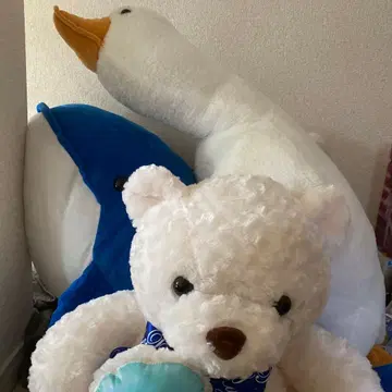 오리와 돌고래, 곰 봉제 인형 세트