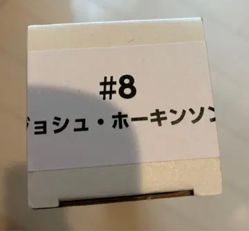 조쉬 호킨슨 등신대 태피스트리 4