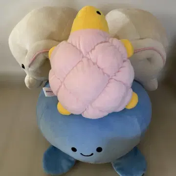 돌고래, 해파리, 거북이