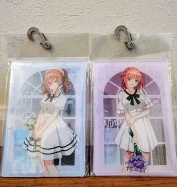 아베일 5등분의 신부 니노 미쿠 아크릴 스탠드