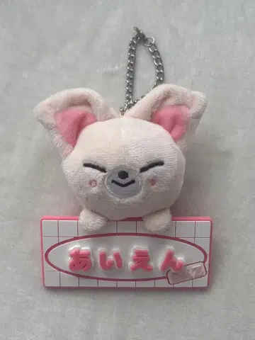 straykids skzoo 키링 네임백참