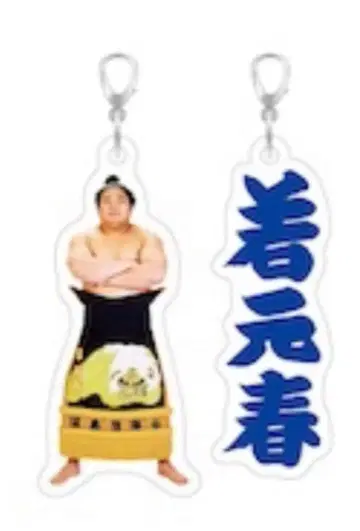 스모 메지루시 액세서리 와카모토하루