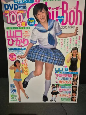카이오샤 묶음 Chu-Boh vol.14 2006년 여름호 DVD 없음
