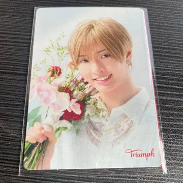 IMP. 사토 신 Triumph 트림프 오리지널 메시지 카드 2장 세트