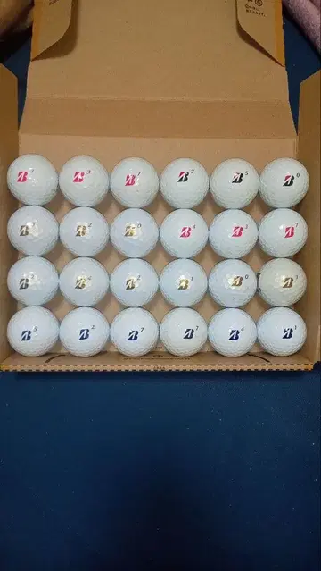 BRIDGE STONE의 JGR 로스트 볼 24구