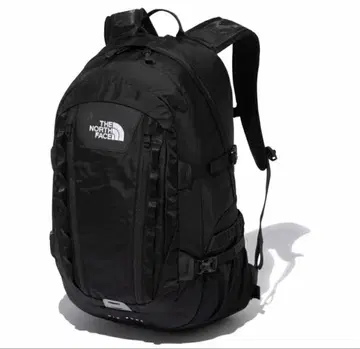 더 노스 페이스 빅샷