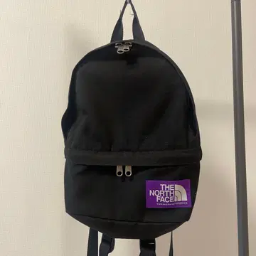 THE NORTH FACE 블랙 미니 백팩