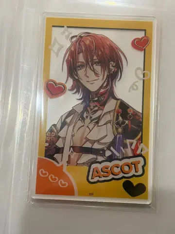 오토메이트 AGF 미스트니아의 날개 희망 미스트니 애스콧