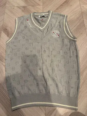 그레이 V넥 베스트 M