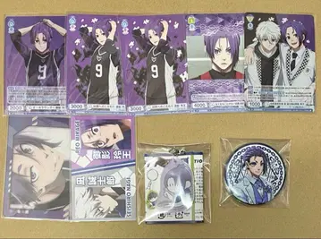 미카게 레오 세트