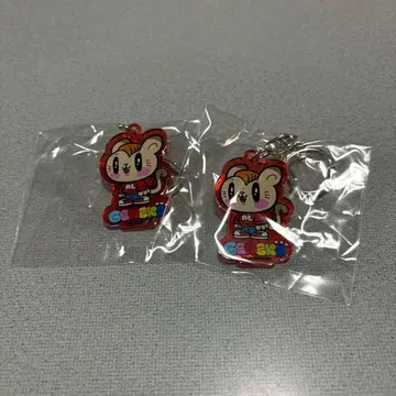 제 고양이 시라하마 아란 키링