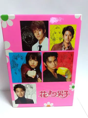 꽃보다 남자 DVD