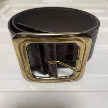 MICHAEL KORS 다크 브라운 벨트 엠보 뱀 악어 여성용