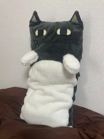 로토 카나 코스프레 니지산지 (자작)