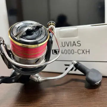 DAIWA 루비아스 LT4000-CXH