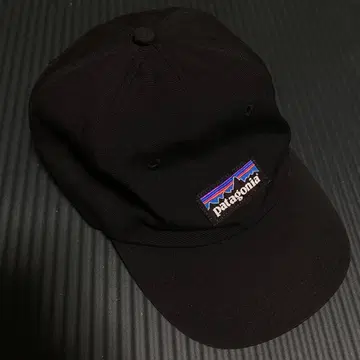 Patagonia 블랙 캡 로고 포함