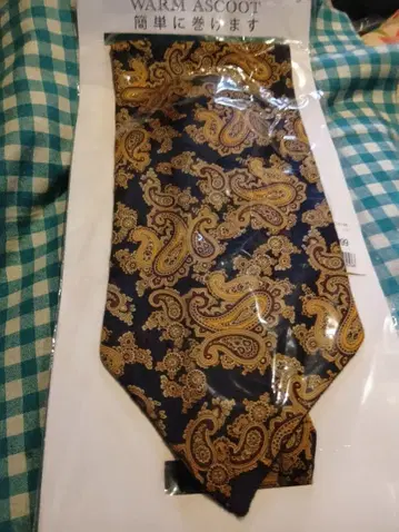 남성용 애스콧 타이