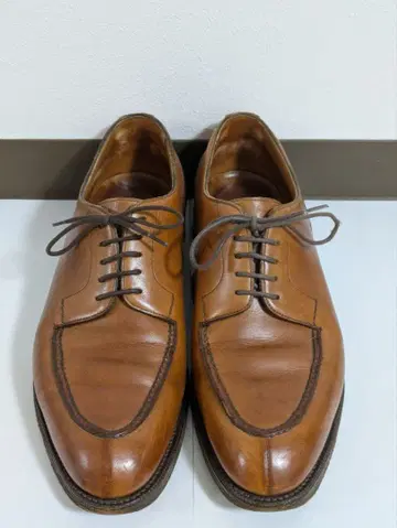 에드워드 그린 도버 Dover