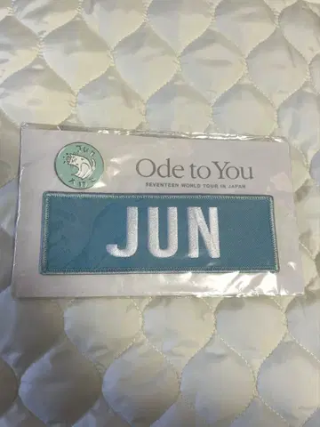 seventeen 준 배지