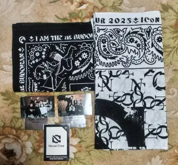 Novel Core 반다나 2장과 BMSG FES24 포토 카드