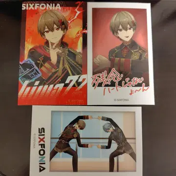 시쿠포니 72 폴라로이드풍 카드