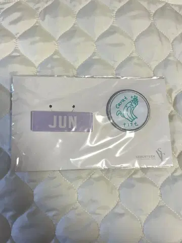 seventeen 준 배지