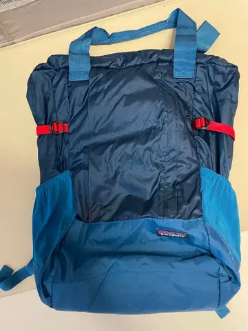 Patagonia 파랑 백팩