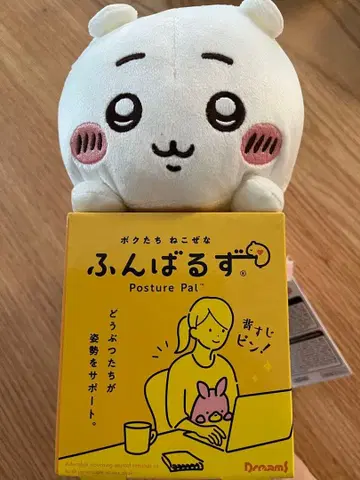 굼바루즈 치이카와 (먼작귀)