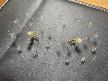 liqui 안개꽃 프리즘 귀찌