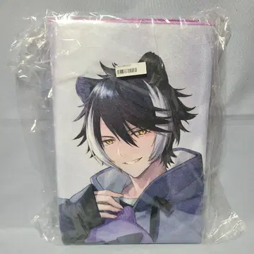 호로스타즈 타이토레 한정판 신규 비주얼 BIG 타월 카게야마 시엔