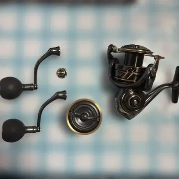 sw5000D-CXH 스피닝 릴 카디아 스풀