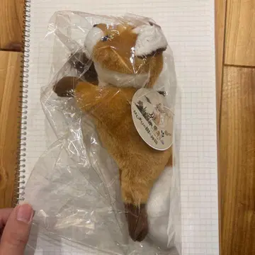 여우, 시작의 나무의 신화