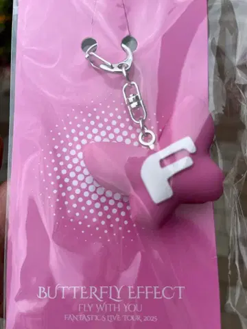 아리아케 FANTASTICS BUTTERFLY EFFECT 러버 키링