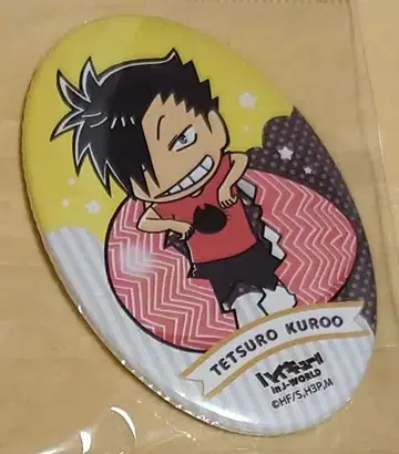 하이큐!! 쿠로오 테츠로 캔뱃지 부활절