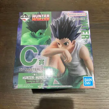 HUNTER x HUNTER C상 곤