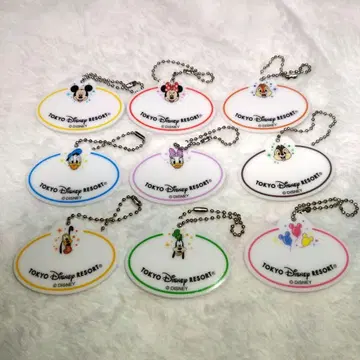 TDR 명찰 네임택 키체인