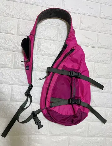 patagonia 바디백 핑크
