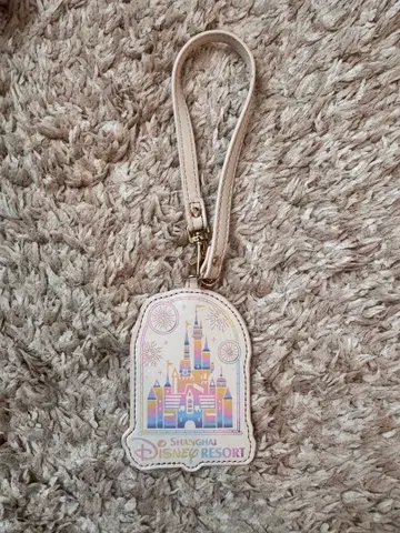 상하이 디즈니 한정판 러기지 택 미사용 새상품