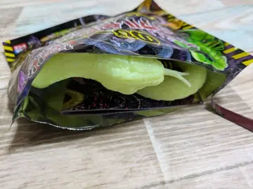 리얼 위험 생물 위험한 늘어나는! 뱀 거미 전갈 색이 변하는