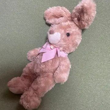 Bam Bina 반비나 토끼 봉제 인형 로즈 토끼