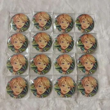 나루카미 아라시 캔뱃지