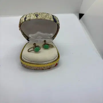 그린 컬러 타원형 귀찌 케이스 포함