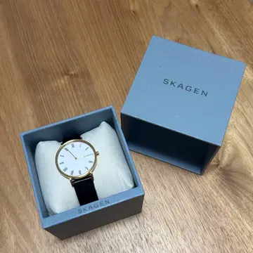 SKAGEN 스카겐 아날로그 시계 블랙 배터리 교환 완료