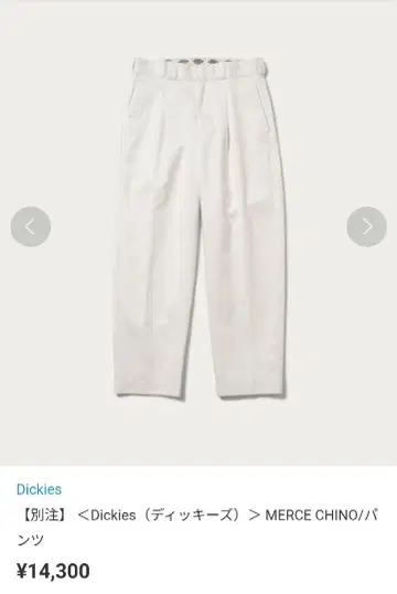 B&Y 별주 Dickies MERCE CHINO 팬츠 S 라이트 그레이